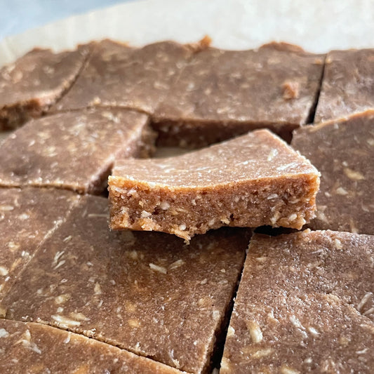 Coconut Peanut Butter Protein Bites